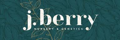 Why Retailers Choose J Berry Nursery for Premium Wholesale Plants