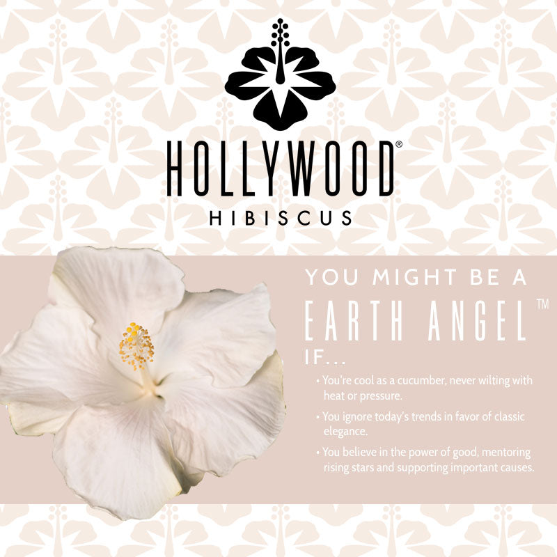 Earth Angel™  - Hollywood® Hibiscus - 9" Self Water Pot