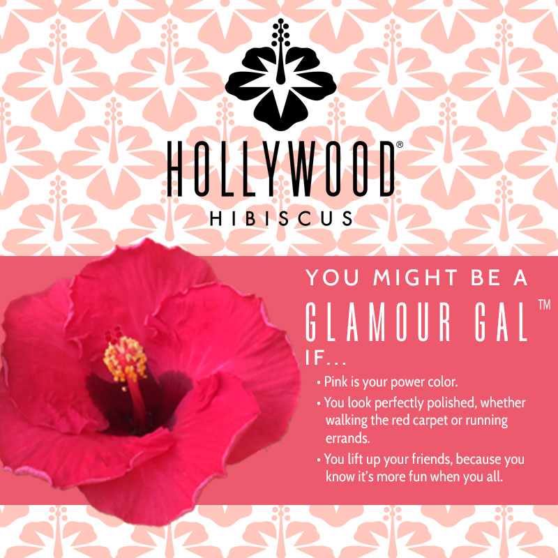 Glamour Gal™ - Hollywood® Hibiscus - 9" Self Water Pot