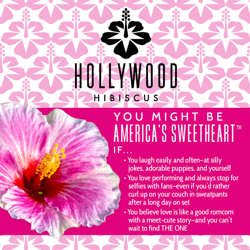 America's Sweetheart™ - Hollywood® Hibiscus - 2 Gallon