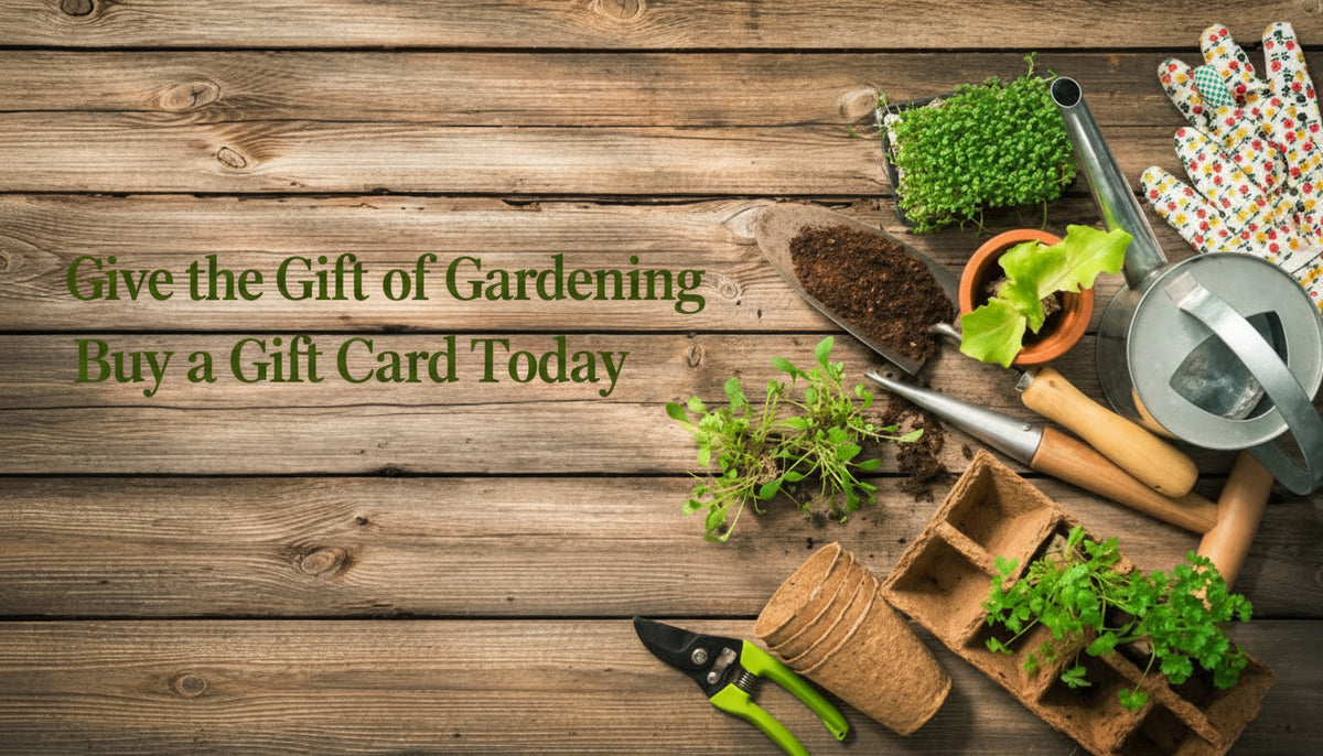 J Berry Gift Card | J. Berry Nursery